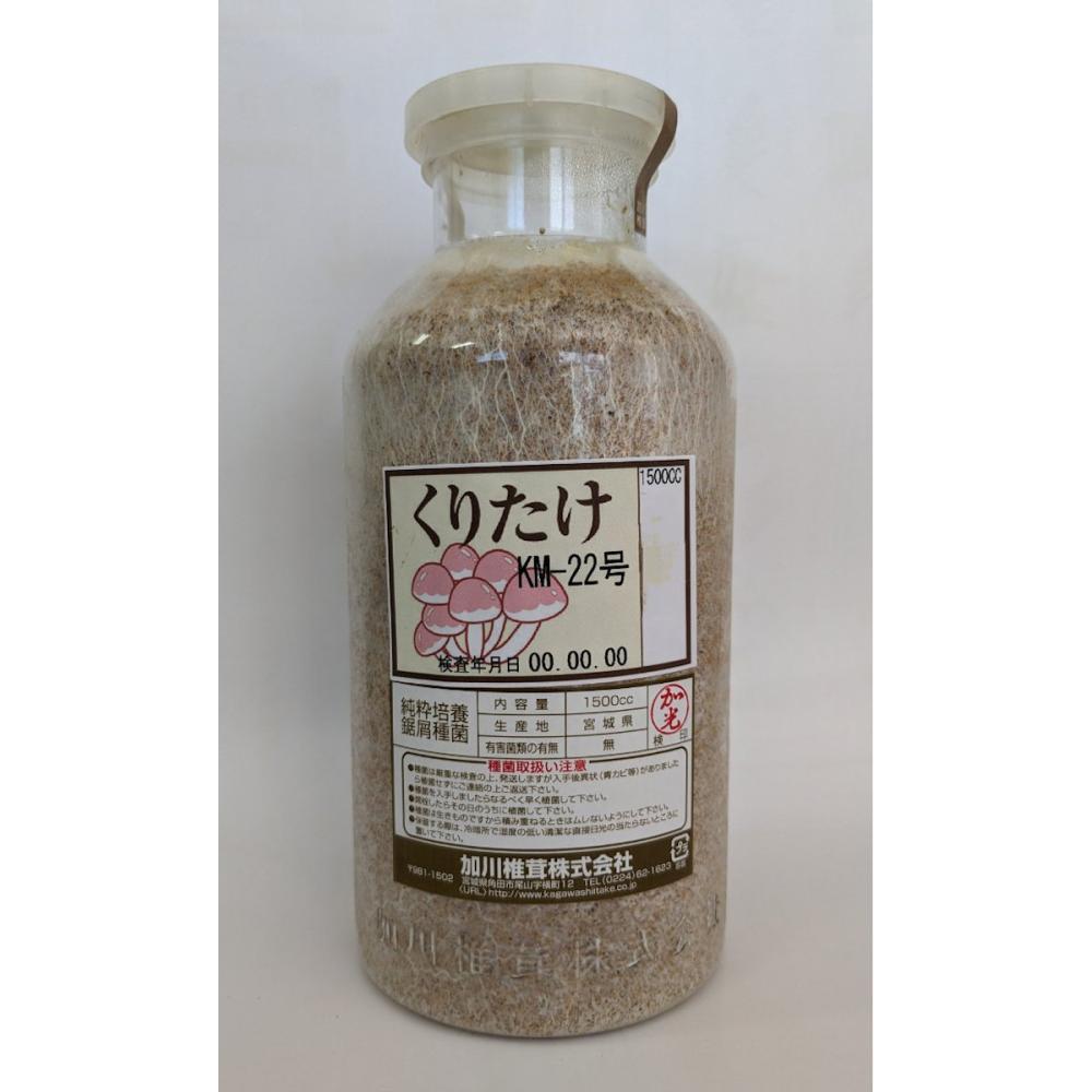 【宅配専用】　くりたけ　種菌　１５００ｃｃ