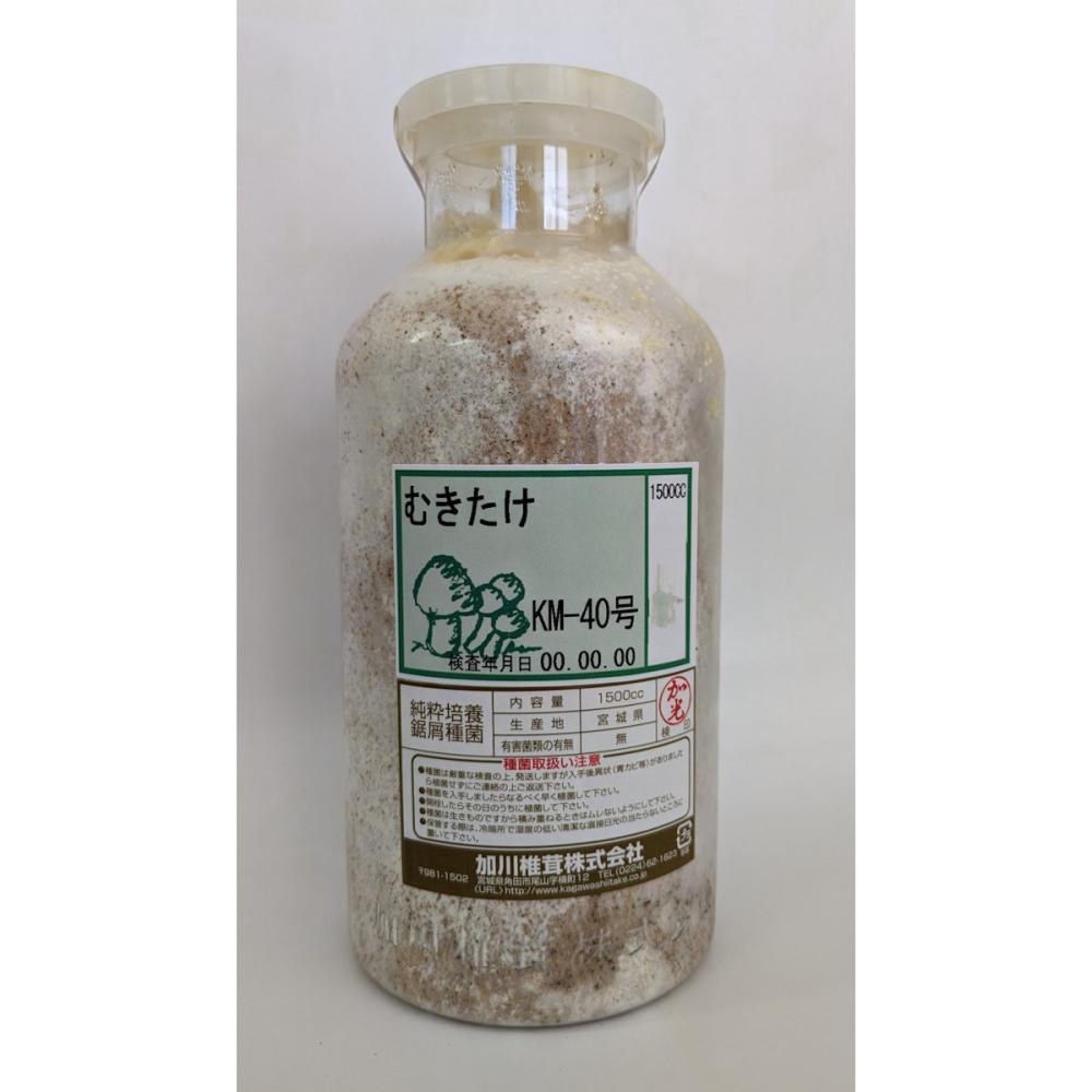 【宅配専用】　むきたけ　種菌　１５００ｃｃ