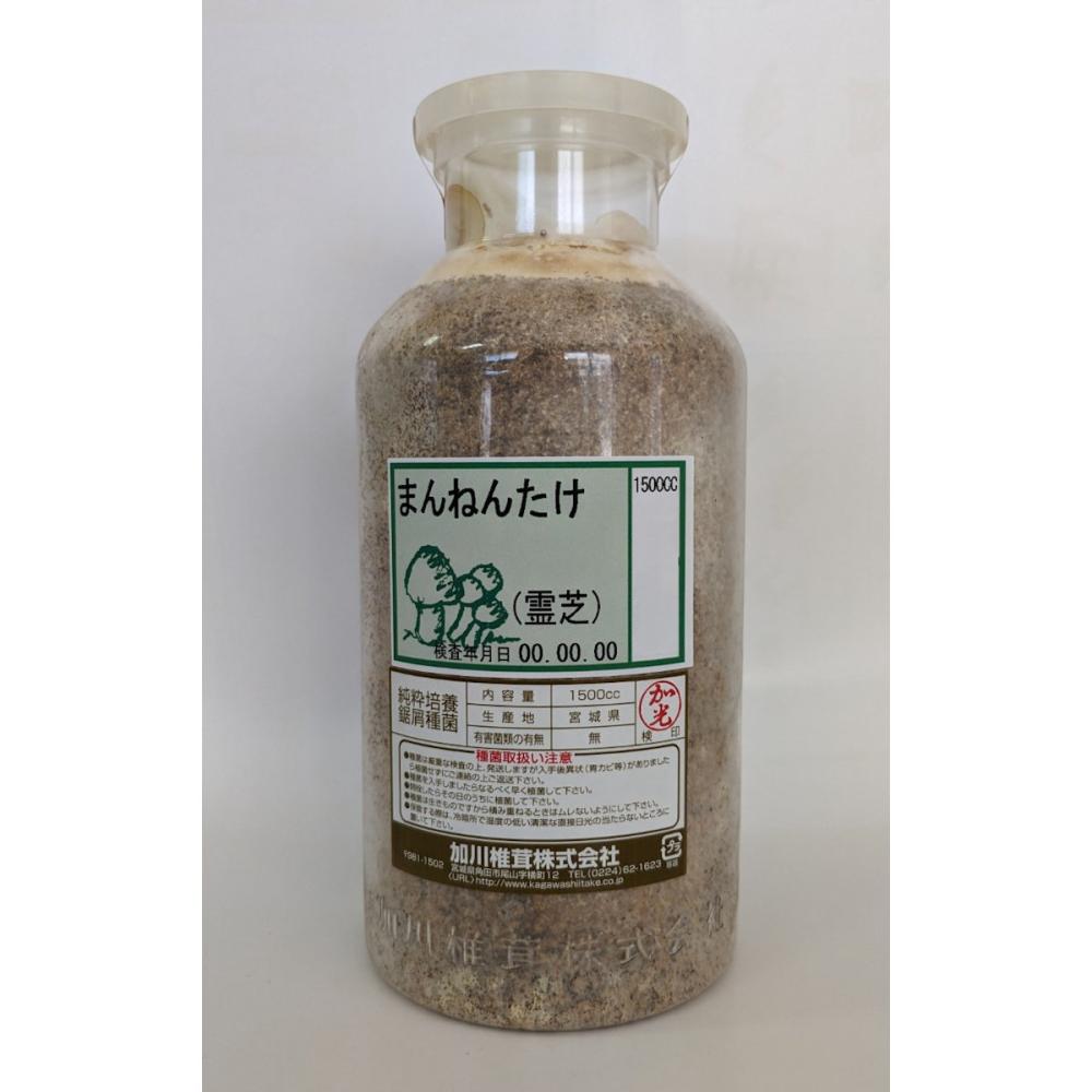 【宅配専用】　まんねんたけ　種菌　１５００ｃｃ