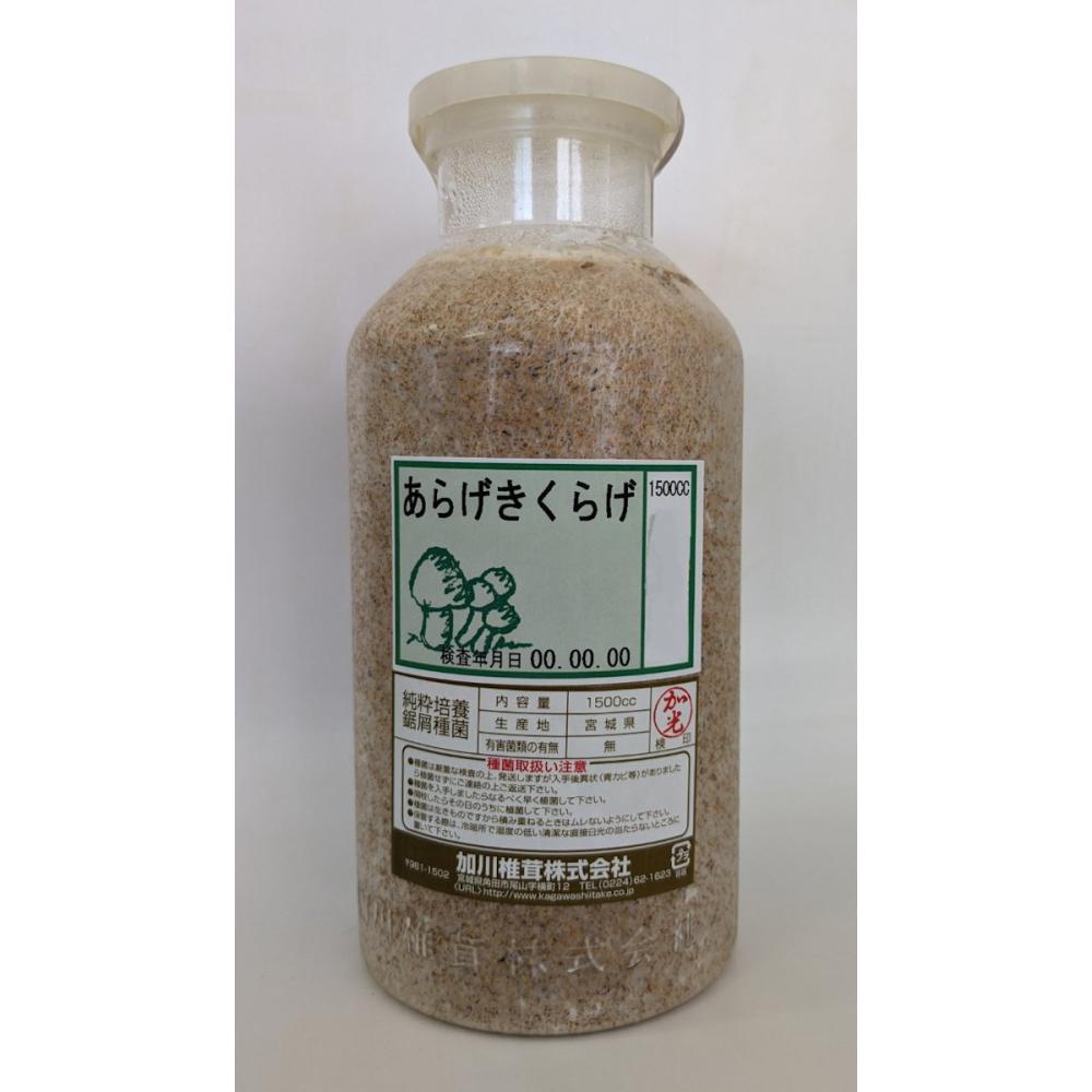 【宅配専用】　あらげきくらげ種菌　１５００ｃｃ