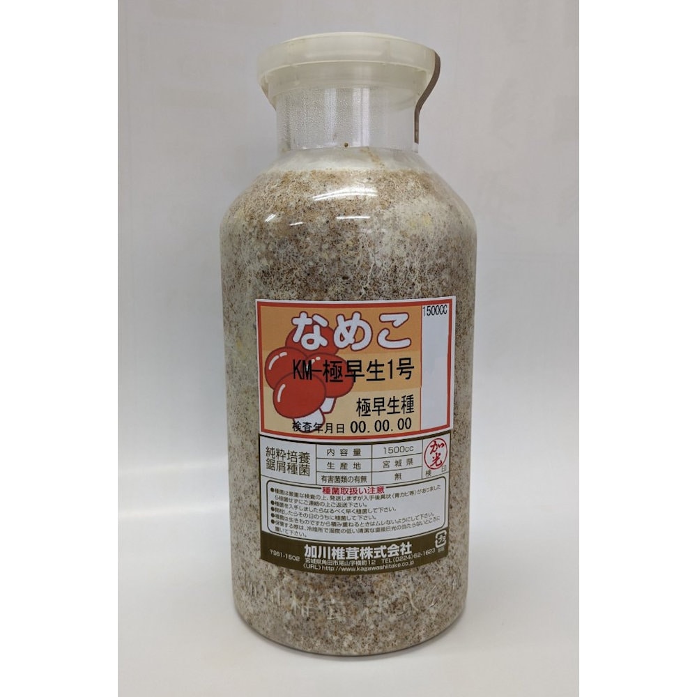【宅配専用】　なめこ　種菌　極早生１号　極早生種　１５００ｃｃ