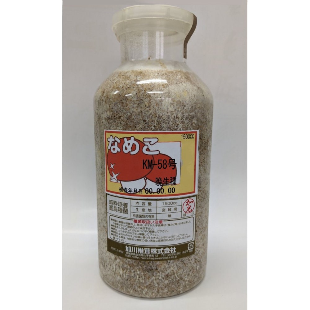 【宅配専用】　なめこ　種菌　ＫＭ－５８号　晩生種　１５００ｃｃ