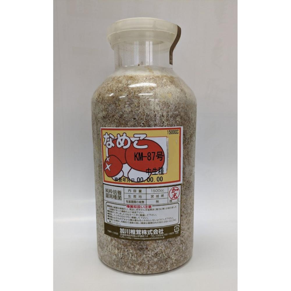 【宅配専用】　なめこ　種菌　ＫＭ－８７号　中生種　１５００ｃｃ