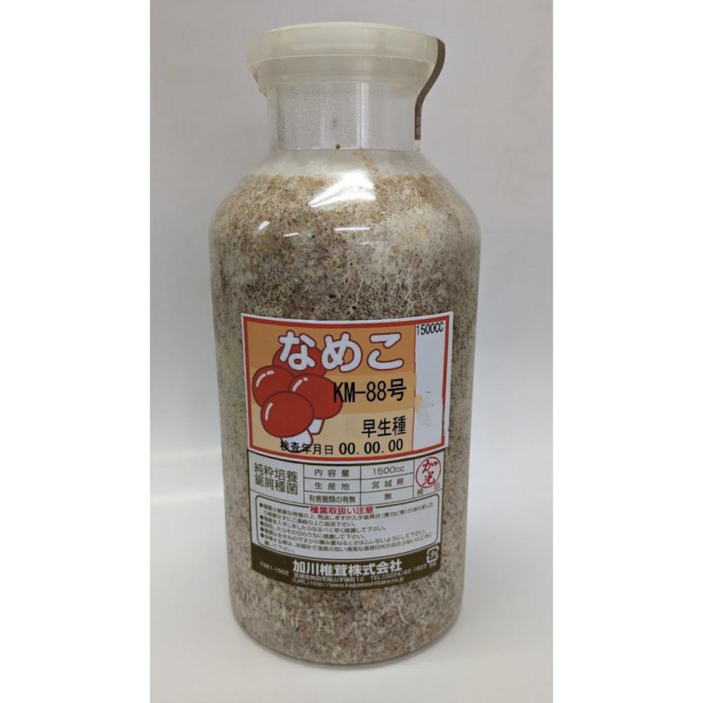 【宅配専用】　なめこ　種菌　ＫＭ－８８号　早生種　１５００ｃｃ