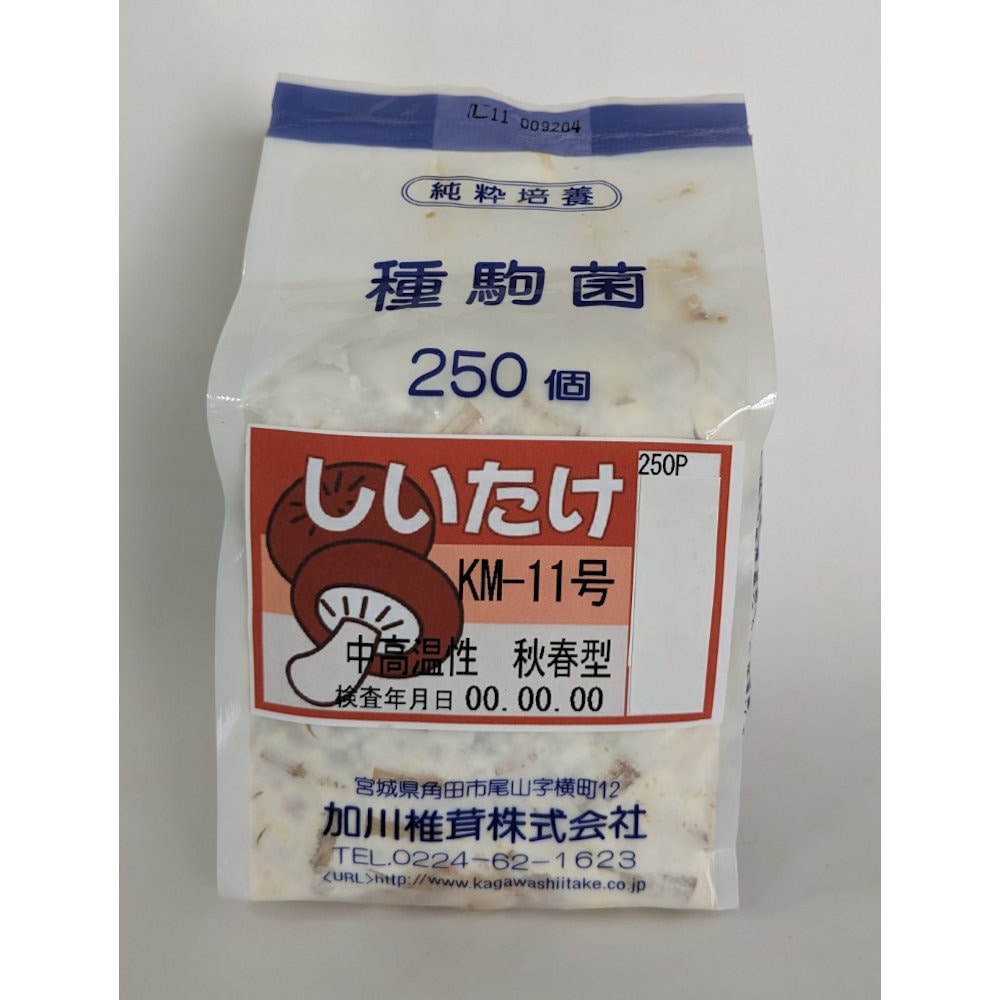 【宅配専用】　しいたけ　種駒　ＫＭ－１１号　中高温性・周年型　２５０駒
