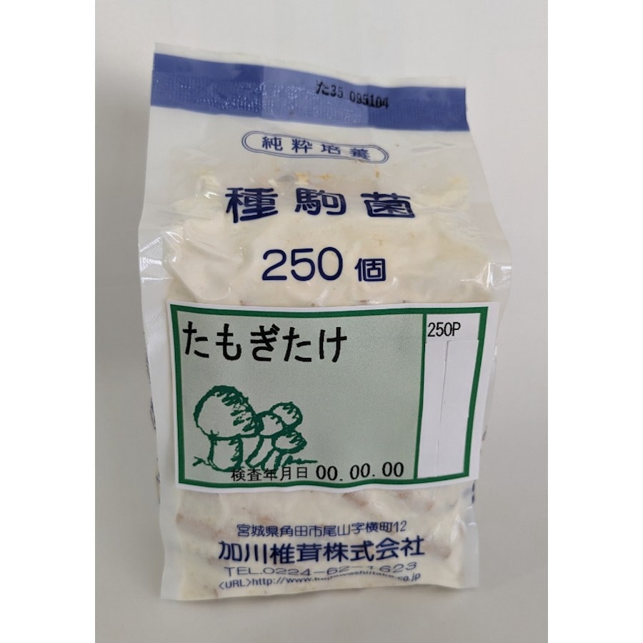 【宅配専用】　たもぎたけ　種駒　２５０駒