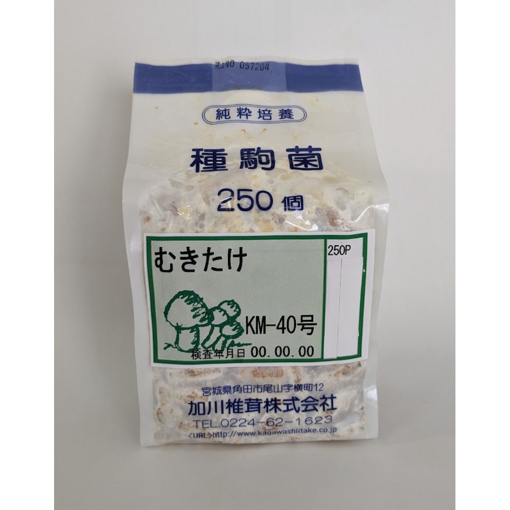 【宅配専用】　むきたけ　種駒　２５０駒