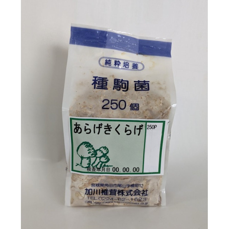 【宅配専用】　あらげきくらげ　種駒　２５０駒