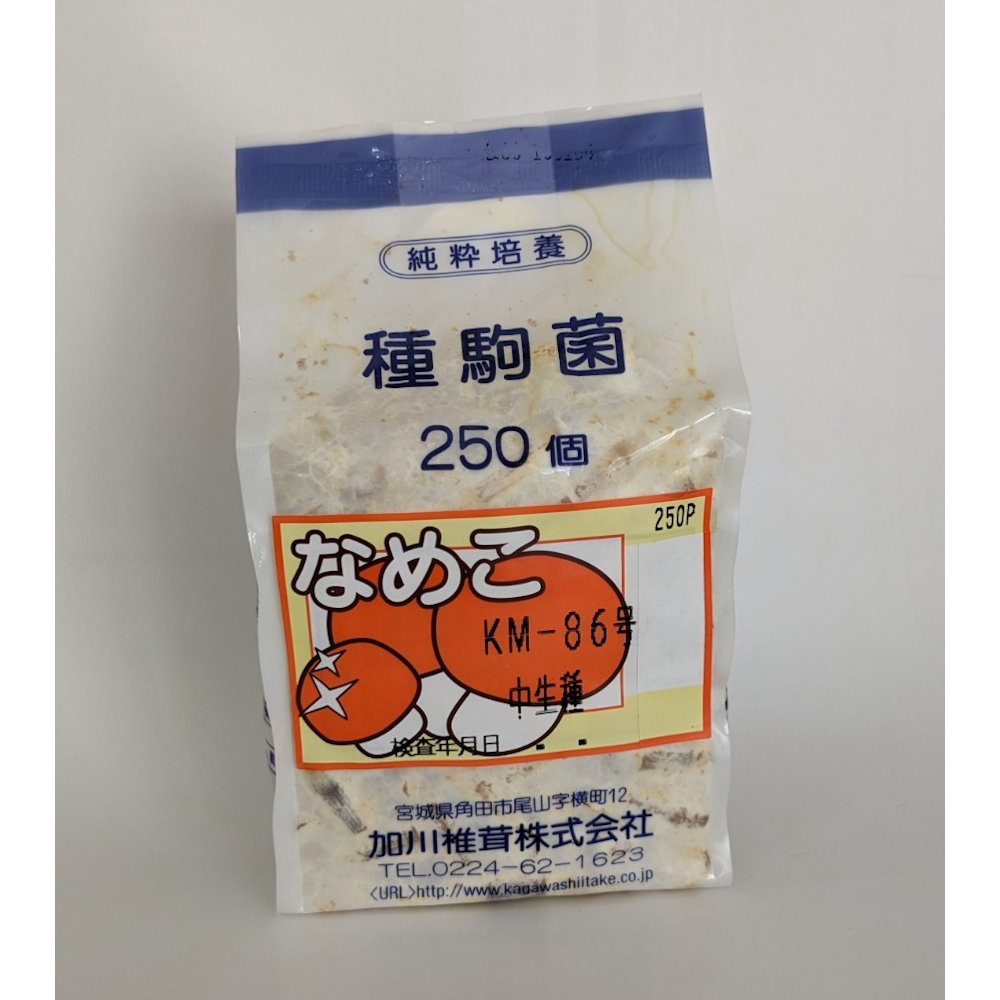 【宅配専用】　なめこ　種駒　ＫＭ－８６号　中生種　２５０駒