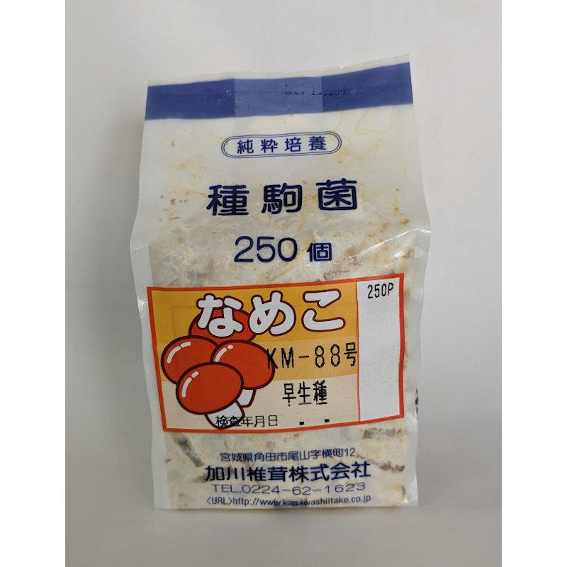 【宅配専用】　なめこ　種駒　ＫＭ－８８号　早生種　２５０駒
