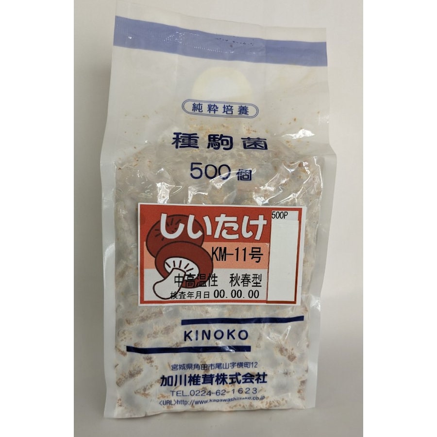 【宅配専用】　しいたけ　種駒　ＫＭ－１１号　中高温性・周年型　５００駒