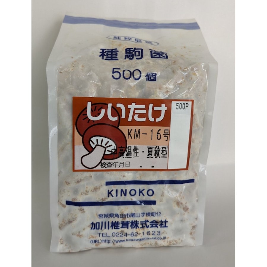 【宅配専用】　しいたけ　種駒　ＫＭ－１６号　中高温性・夏秋型　５００駒