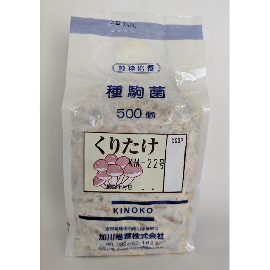 【宅配専用】　くりたけ　種駒　５００駒