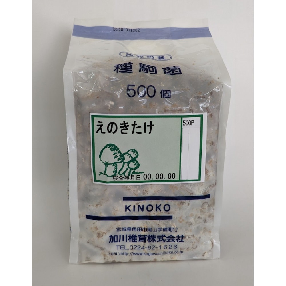 【宅配専用】　えのきたけ　種駒　５００駒