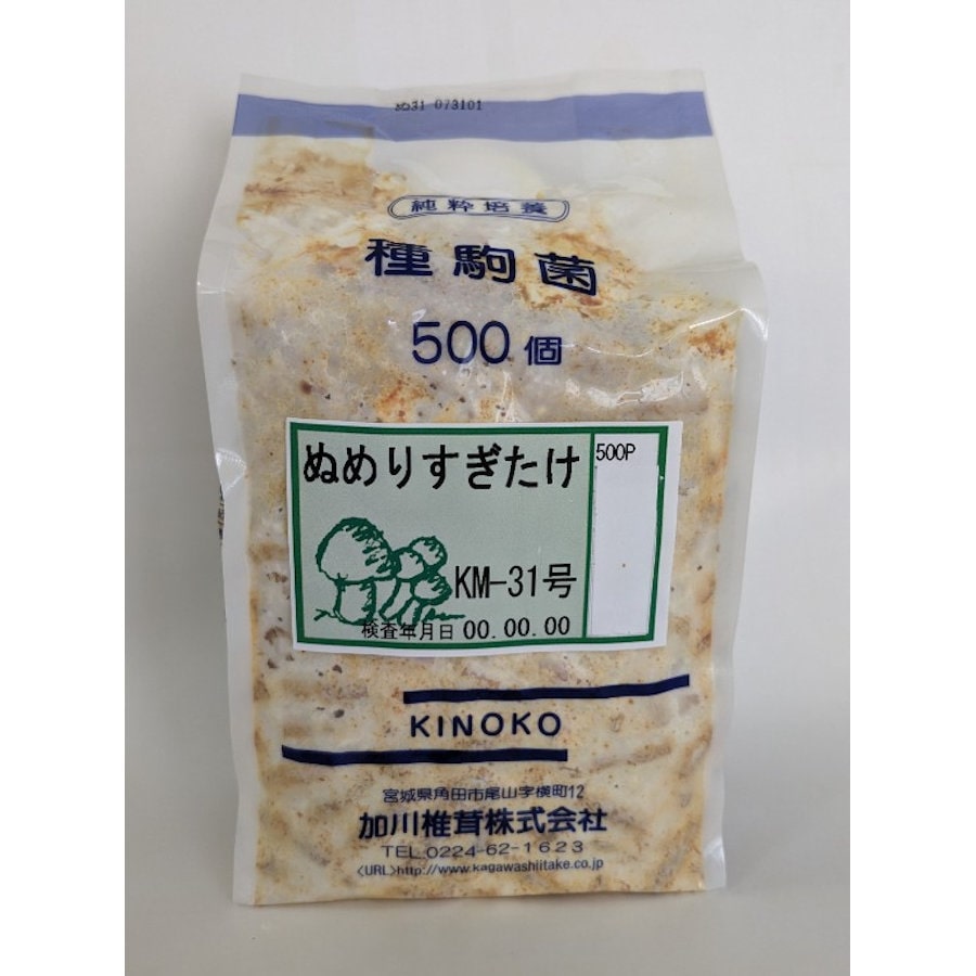 【宅配専用】　ぬめりすぎたけ　種駒　５００駒