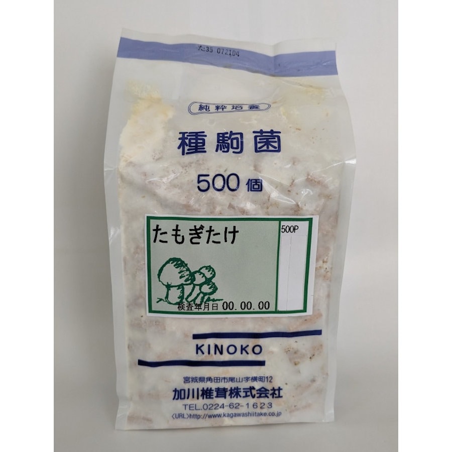 【宅配専用】　たもぎたけ　種駒　５００駒