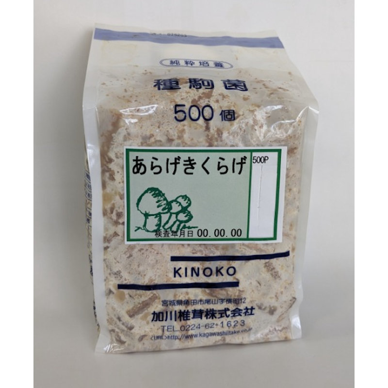 【宅配専用】　あらげきくらげ　種駒　５００駒