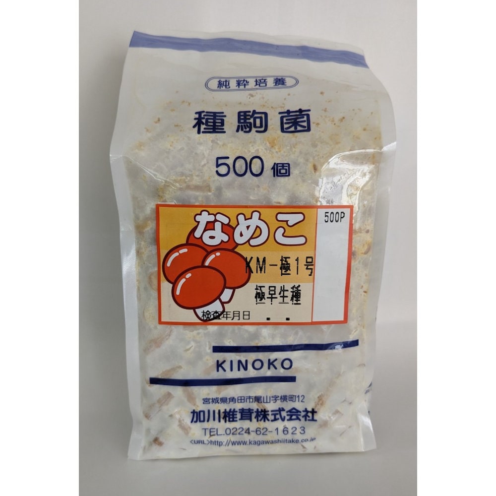 【宅配専用】　なめこ　種駒　極早生１号　極早生種　５００駒