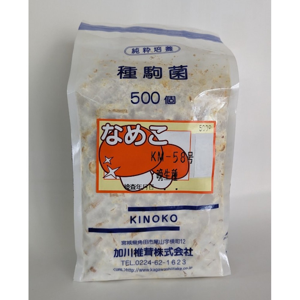 【宅配専用】　なめこ　種駒　ＫＭ－５８号　晩生種　５００駒