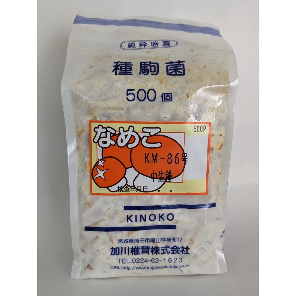 【宅配専用】　なめこ　種駒　ＫＭ－８６号　中生種　５００駒