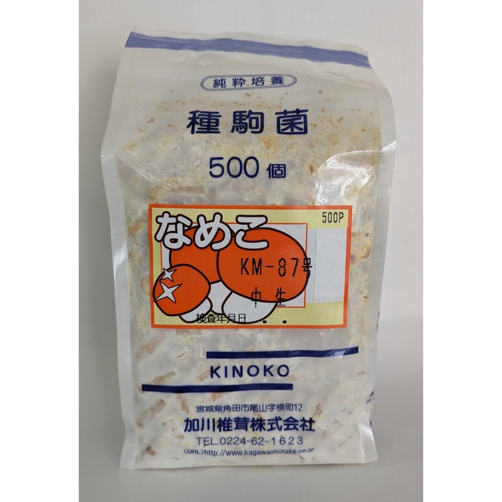 【宅配専用】　なめこ　種駒　ＫＭ－８７号　中生種　５００駒