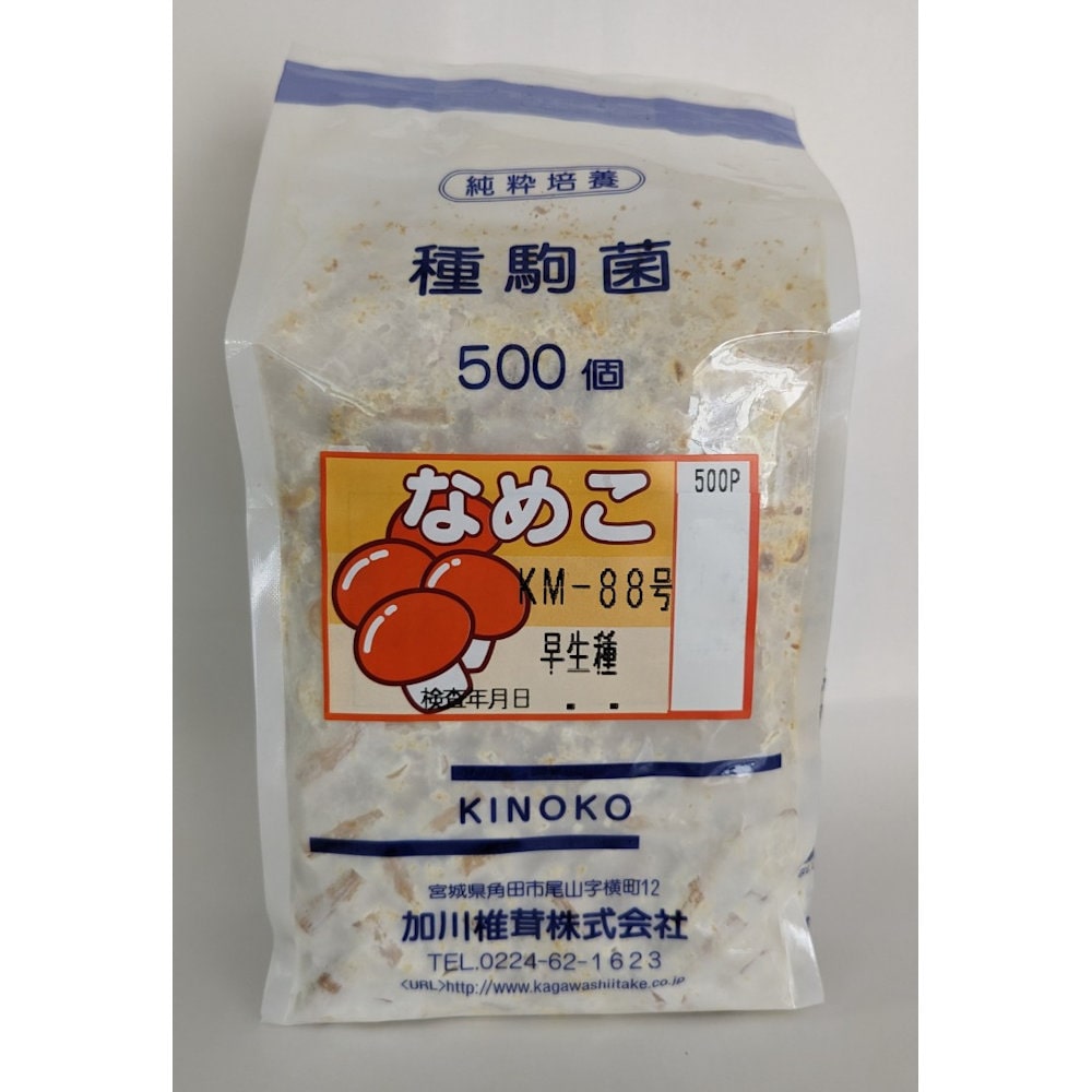 【宅配専用】　なめこ　種駒　ＫＭ－８８号　早生種　５００駒
