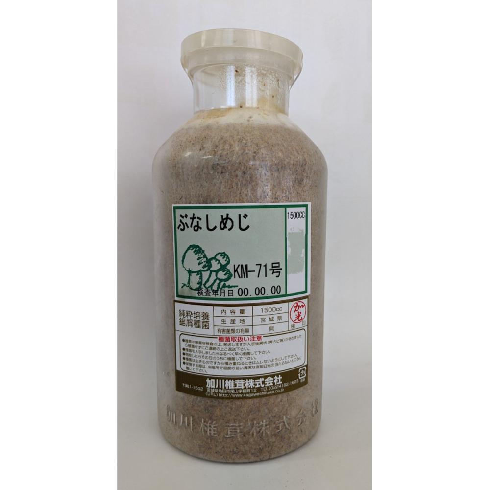 【宅配専用】　ぶなしめじ　種菌　１５００ｃｃ