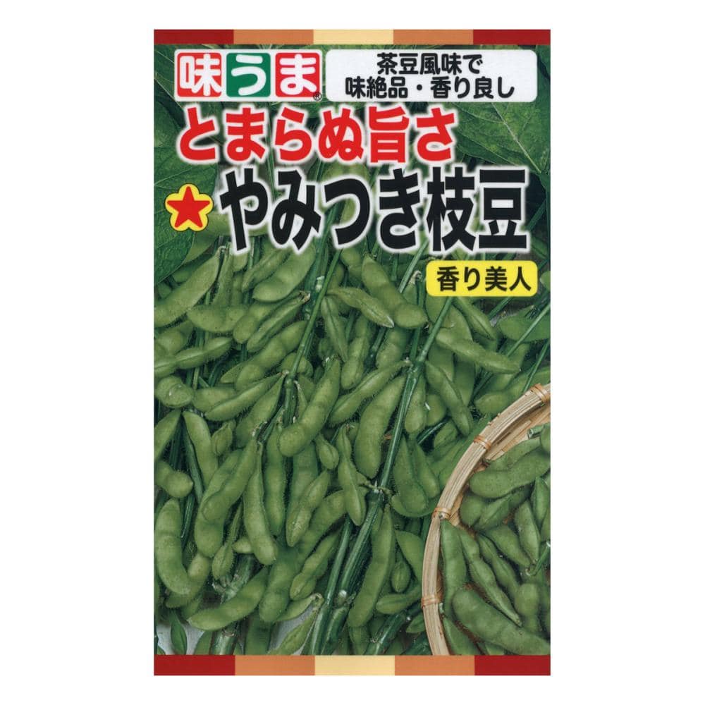 トーホクのたね　エダマメ種子　やみつき枝豆　香り美人