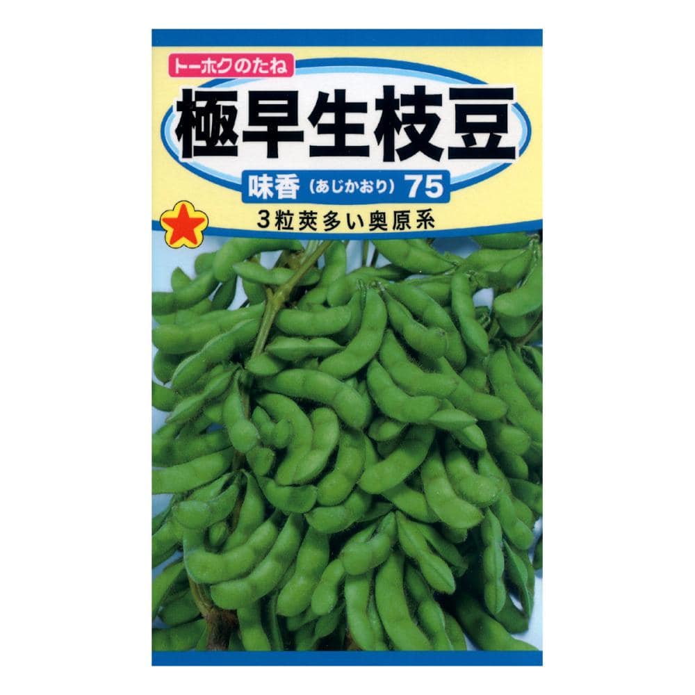 エダマメ種子　極早生枝豆　味香７５
