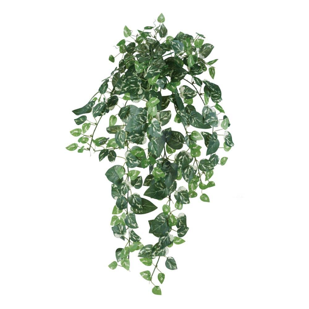 ポトスブッシュＬ　ＧＬ－５２７９Ｐ　ＧＲ