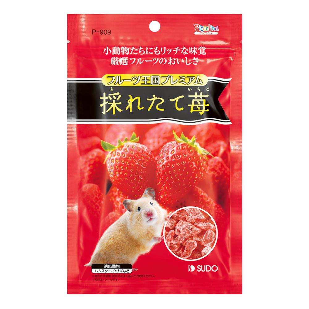 スドー　フルーツ王国プレミアム　採れたて苺　４６ｇ