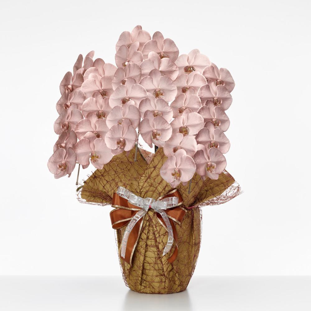 胡蝶蘭大輪　３本立ち　３３輪ＭＩＹＡＢＩ　【ブロンズ】