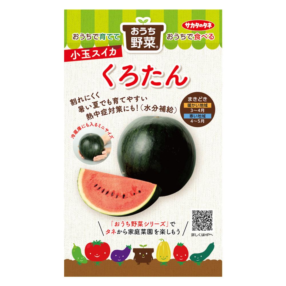 おうち野菜　小玉スイカ　くろたん