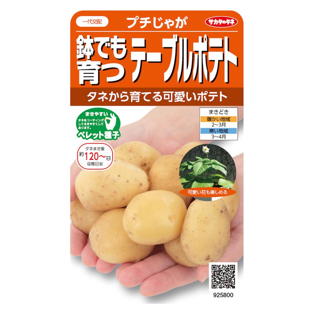 根菜種子　鉢でも育つテーブルポテト　プチじゃが