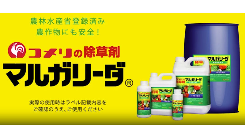 商品動画サムネイル