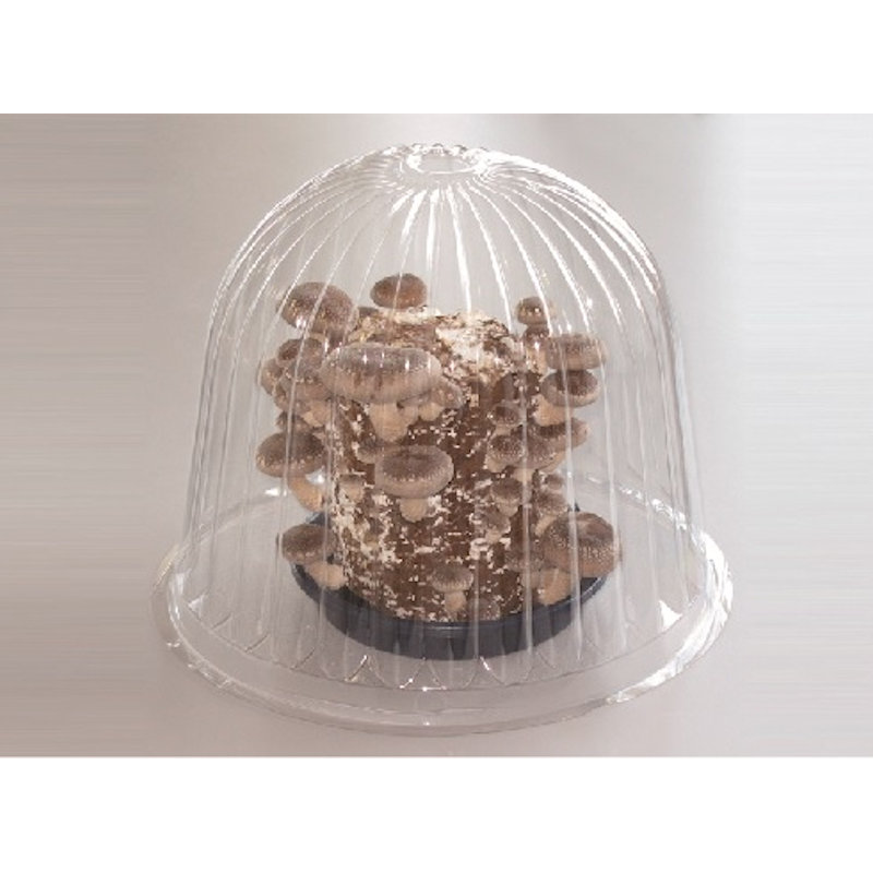 【宅配専用】　きのこ栽培容器（Ｂ）