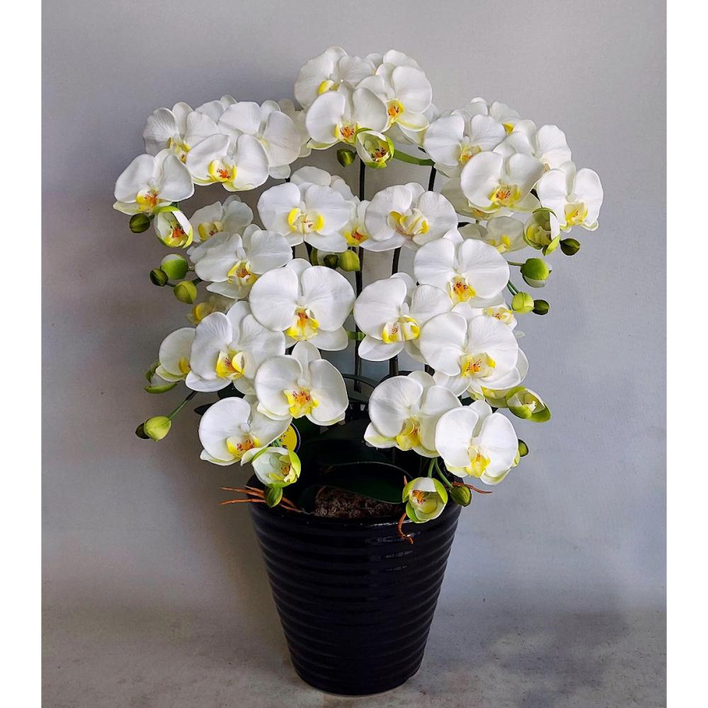 造花　胡蝶蘭　５本立ち　白黄