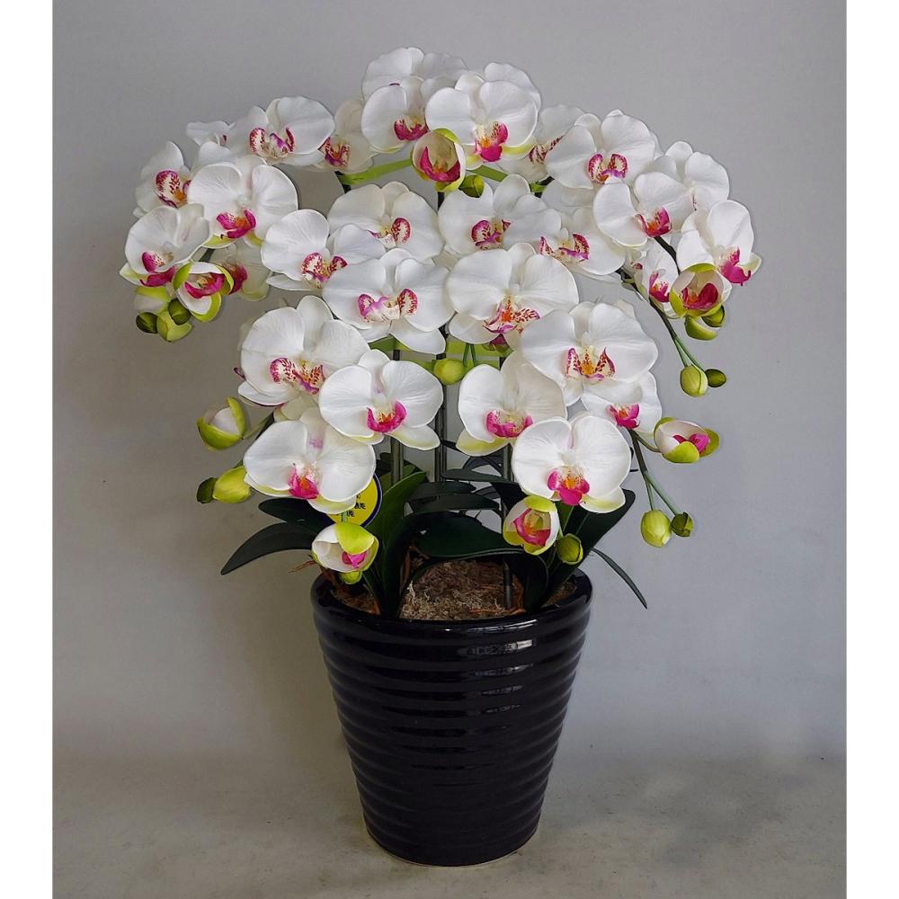 造花　胡蝶蘭　５本立ち　白