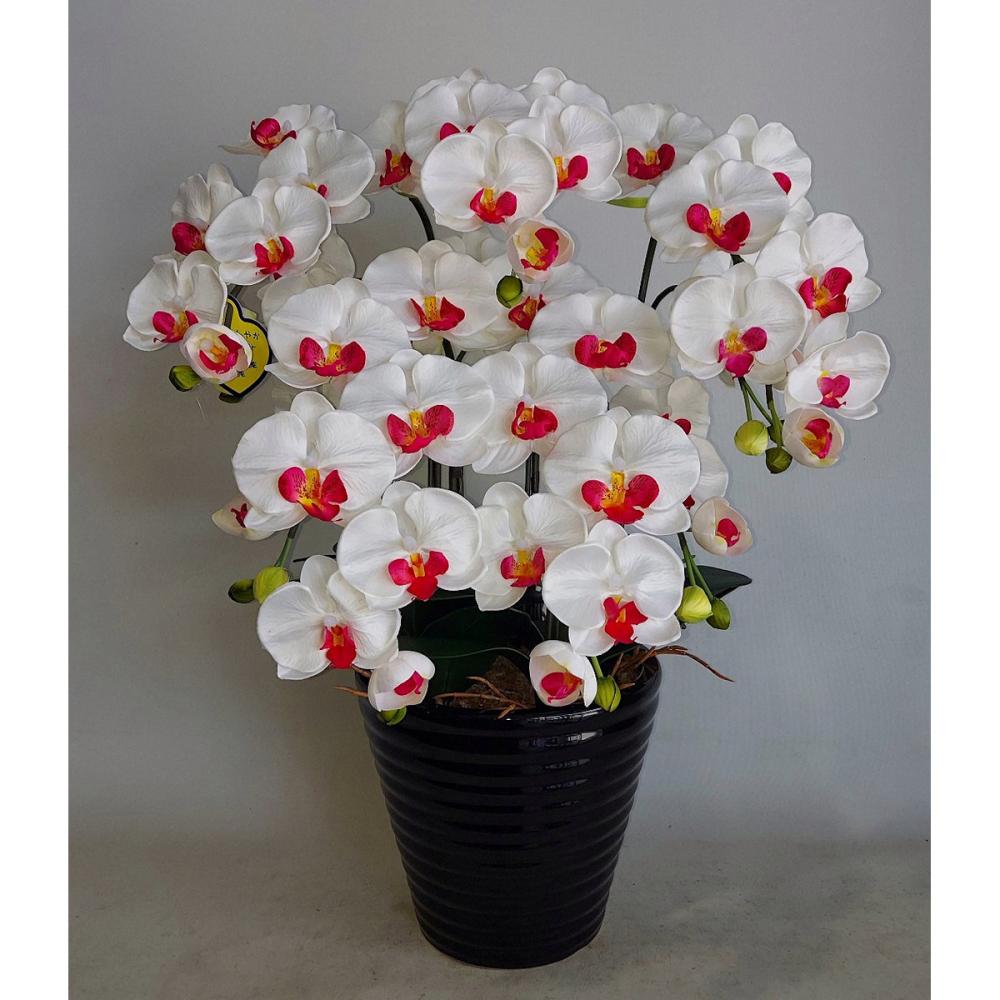 造花　胡蝶蘭　５本立ち　白赤