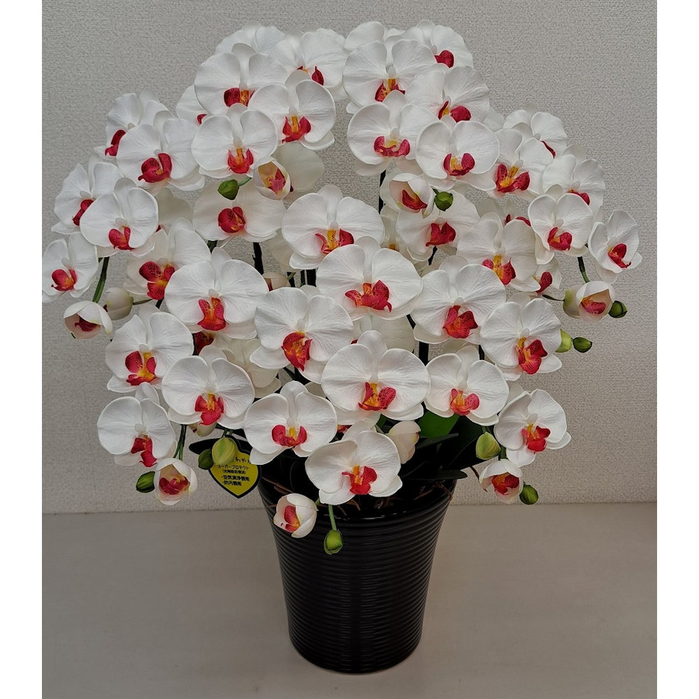 造花　胡蝶蘭　７本立ち　白赤