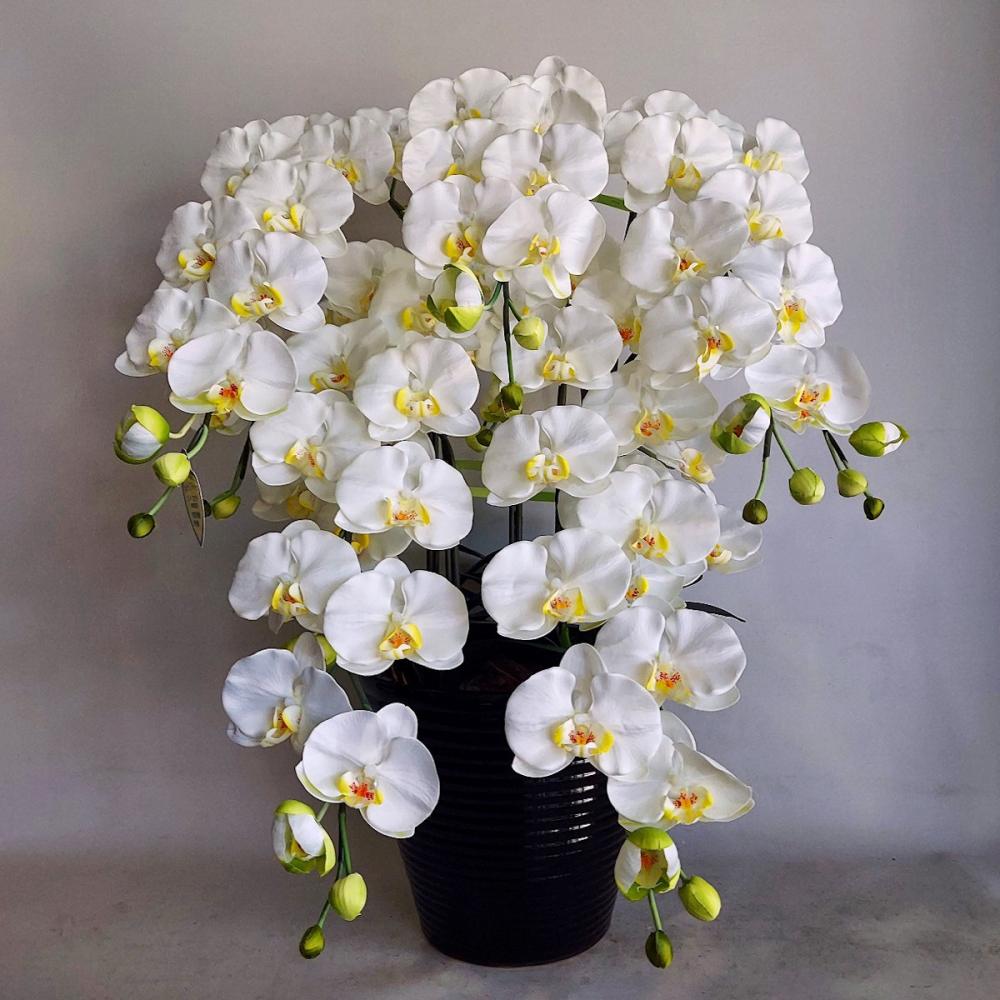 造花　胡蝶蘭　大輪５本立ち　白黄