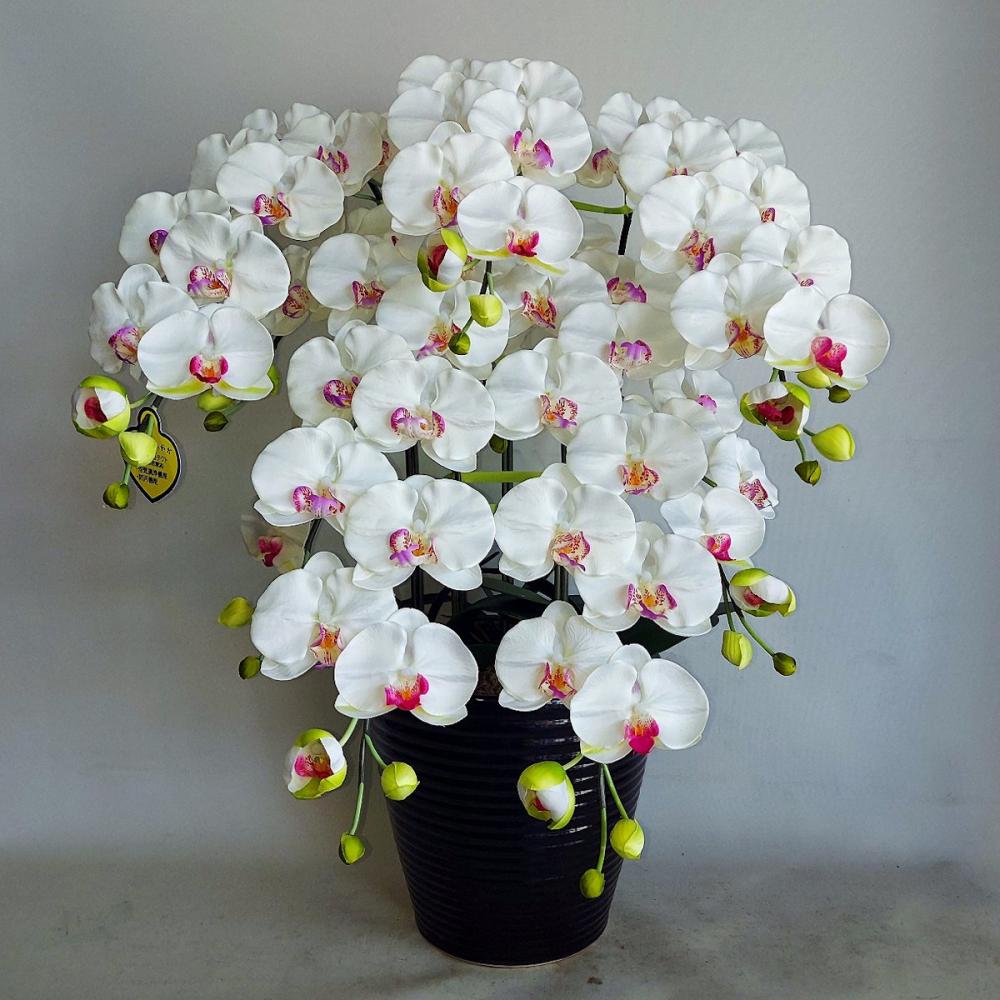 造花　胡蝶蘭　大輪５本立ち　白