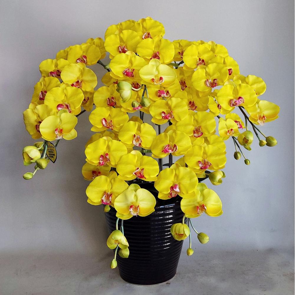 造花　胡蝶蘭　大輪５本立ち　黄