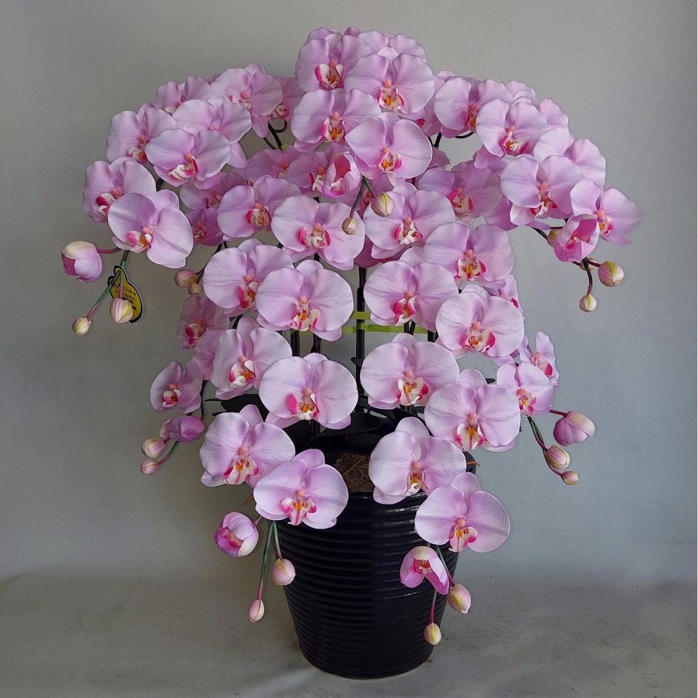 造花　胡蝶蘭　大輪５本立ち　うすピンク