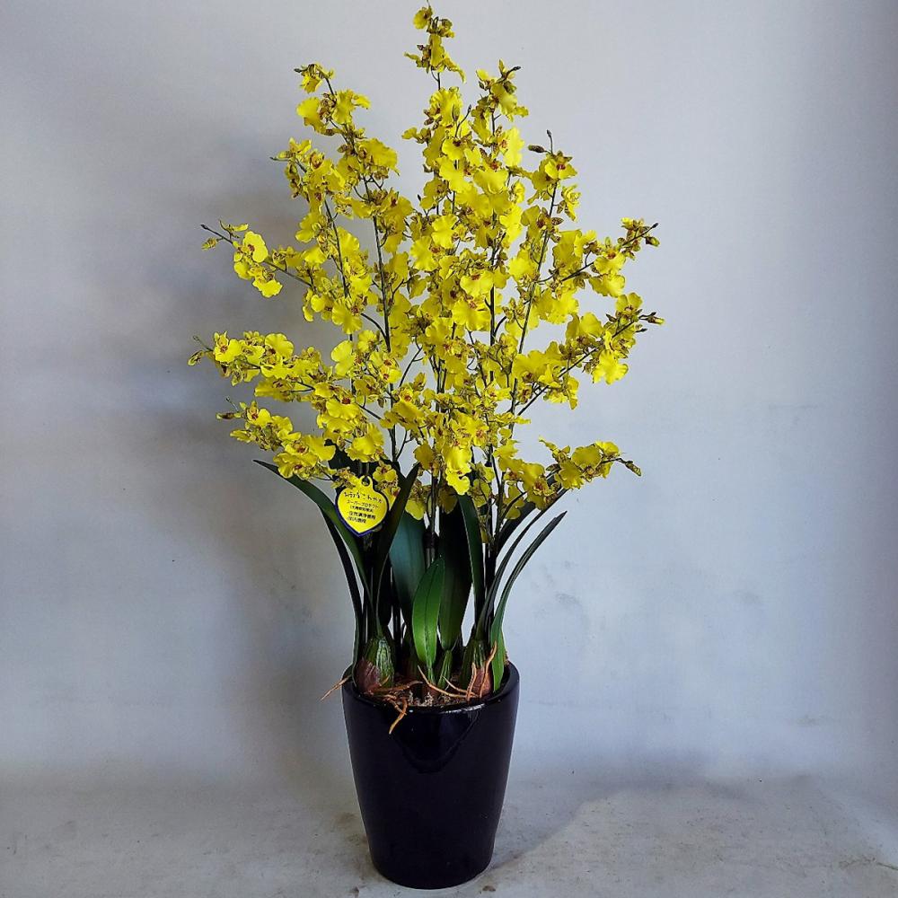 造花　オンシジューム　６本立ち　黄