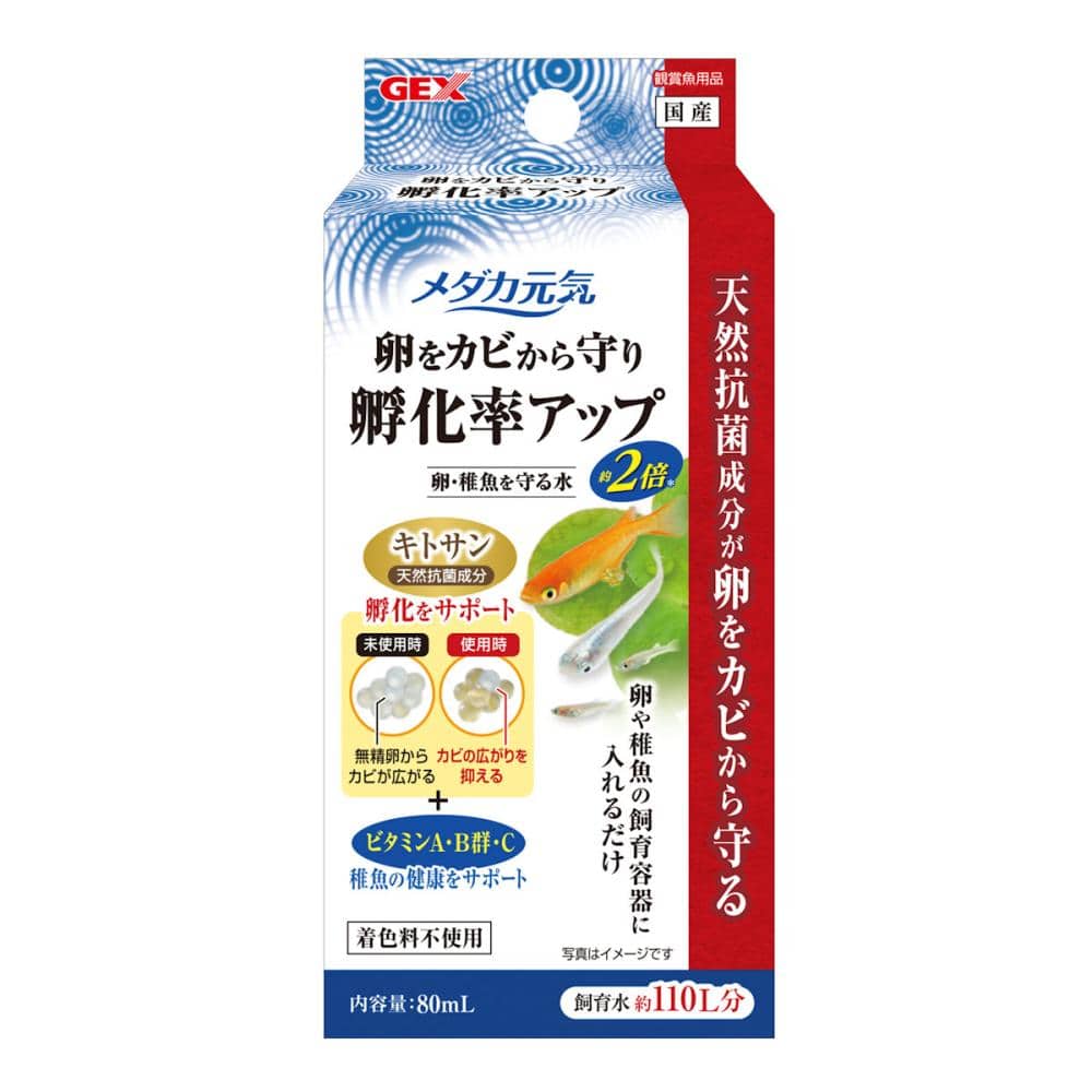 メダカ元気　卵・稚魚を守る水８０ｍＬ
