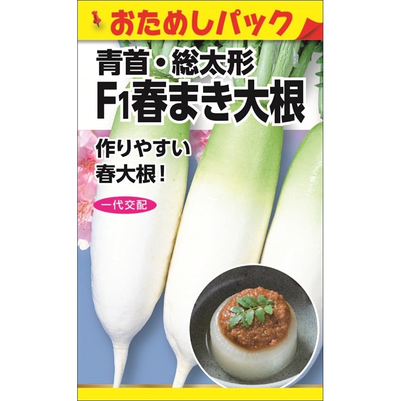 ニチノウのタネ　Ｆ１春まき大根　おためしパック
