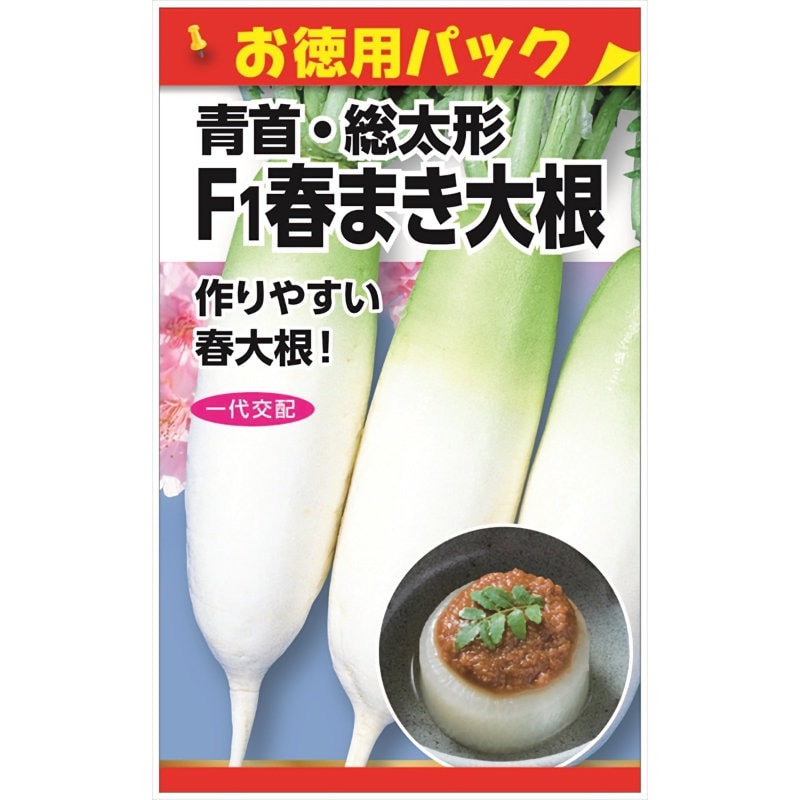 ニチノウのタネ　Ｆ１春まき大根　お徳用パック