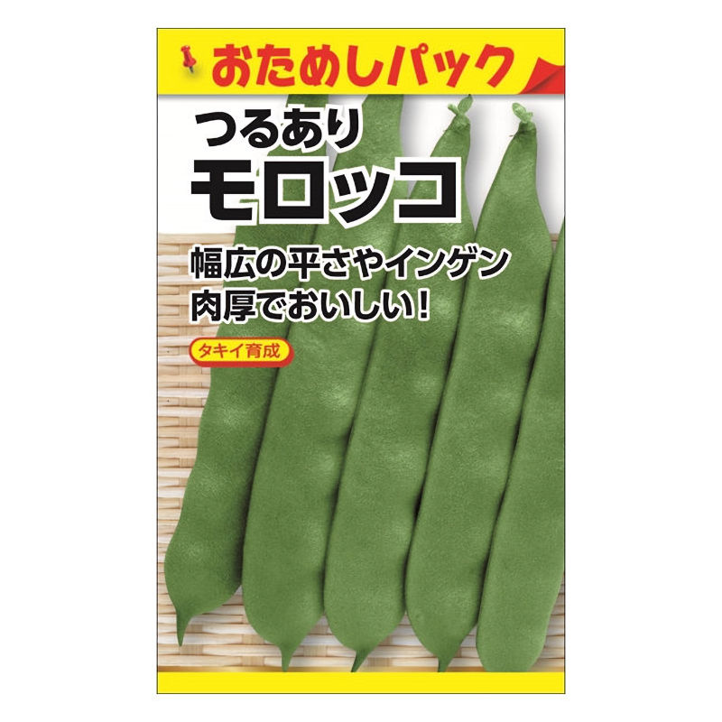 タキイ育成　つるありモロッコ　おためしパック