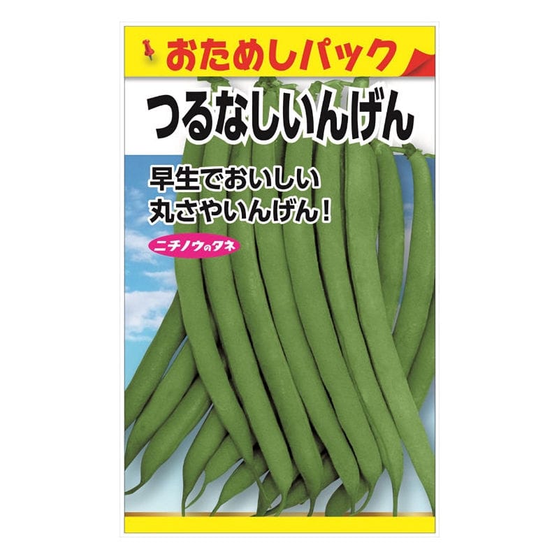 ニチノウのタネ　つるなしいんげん　おためしパック